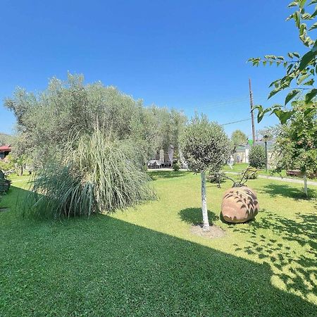Apartments Alexandros Полихроно Экстерьер фото