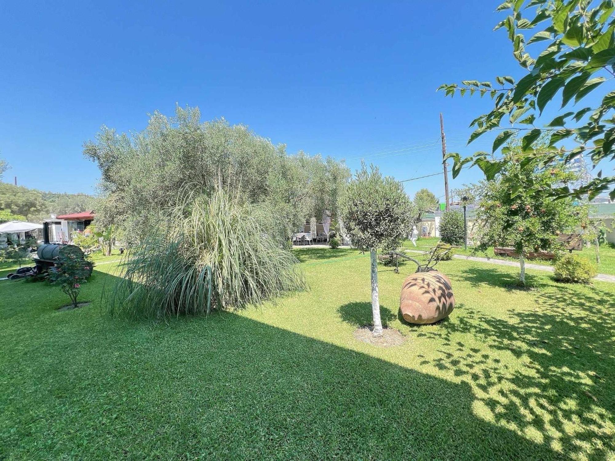 Apartments Alexandros Полихроно Экстерьер фото